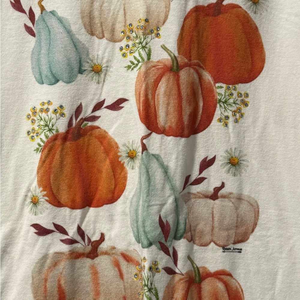 Ladies Short-Sleeve Fall Pumpkin Graphic T-Shirt Size XL