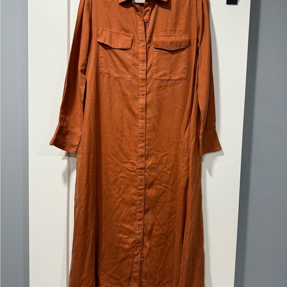 Caslon Terracotta Long Sleeve Tencel Shirt Dress